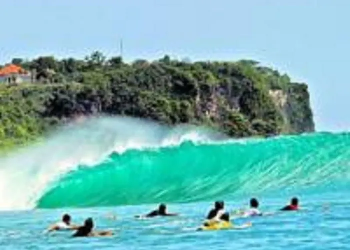 Bowl Bali Kuta Selatan